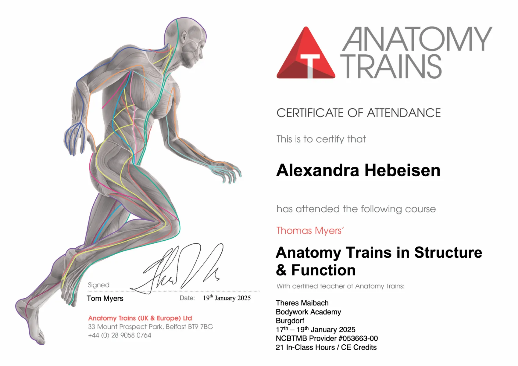 Workshop Anatomieausbildung in Struktur und Funktion mit Alexandra Hebeisen