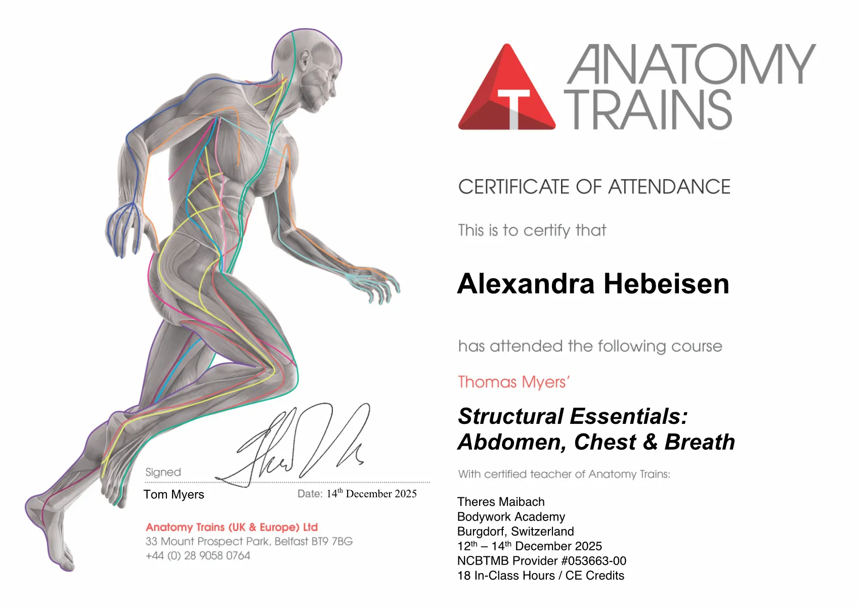 Workshop Bauch, Brustkorb und Atem mit Alexandra Hebeisen