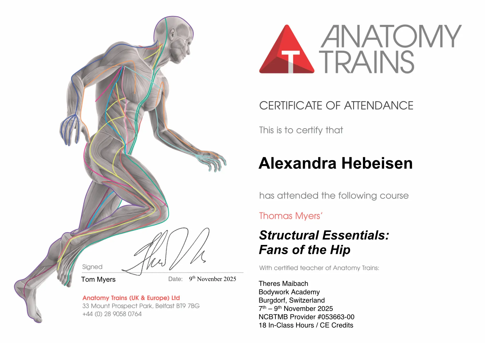 Workshop Strukturelle Grundlagen: Muskelfächer der Hüfte mit Alexandra Hebeisen